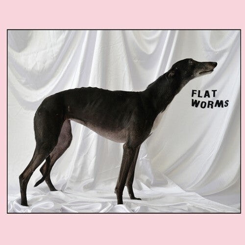 

Виниловая пластинка Flat Worms: Flat Worms