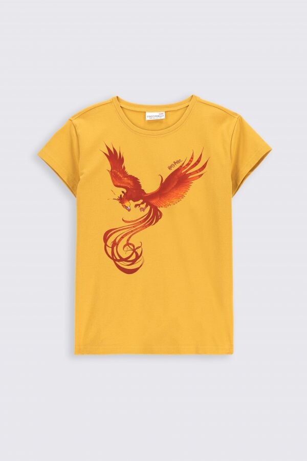 

Футболка с короткими рукавами Coccodrillo Harry Potter, желтый/красный