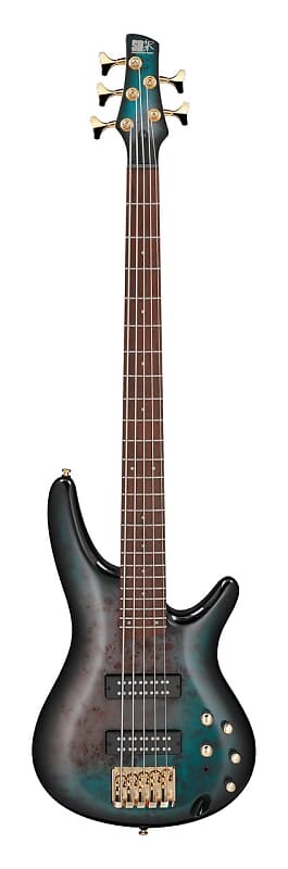 

Ibanez SR405EPBDX 5-струнная бас-гитара Tropical Seafloor Burst SR405EPBDX 5-String Bass