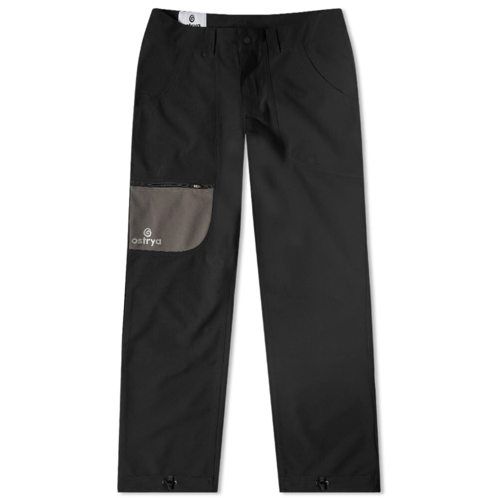 

Брюки Alpine Soft Shell Ostrya