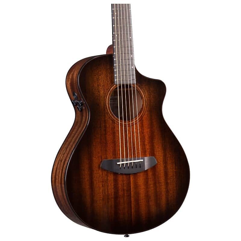 

Гитара Breedlove Wildwood Pro Companion Suede CE A/E, Suede Burst с сумкой для переноски WWCP38CEAMAM