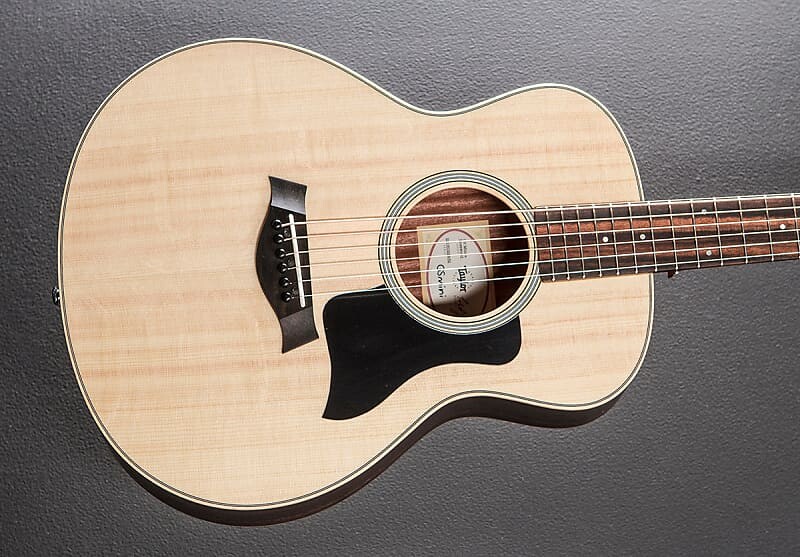 

GS Mini-e палисандр Taylor