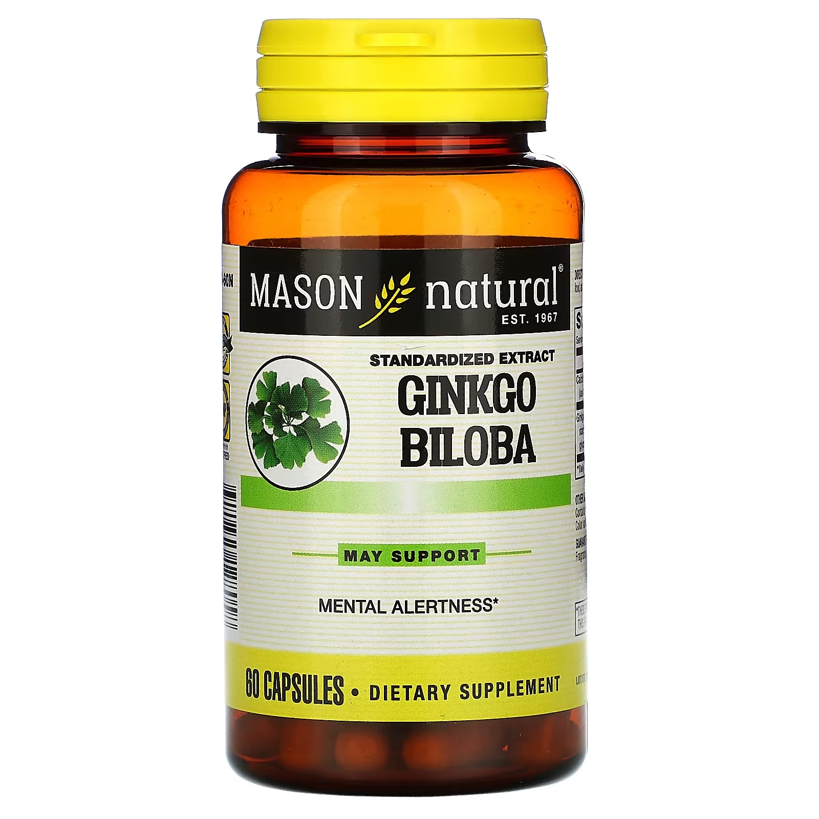 Mason Natural гинкго билоба стандартизированный экстракт, 60 капсул