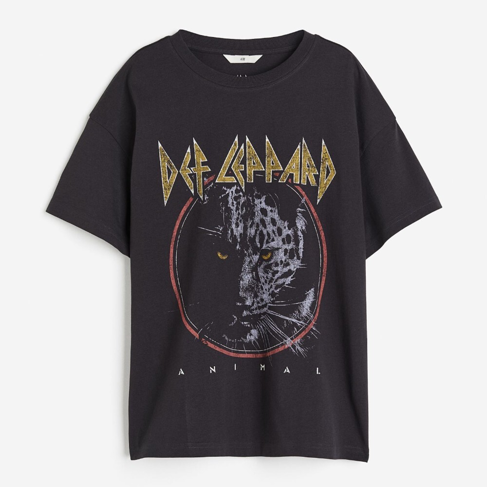 

Футболка H&M Printed Def Leppard, темно-серый