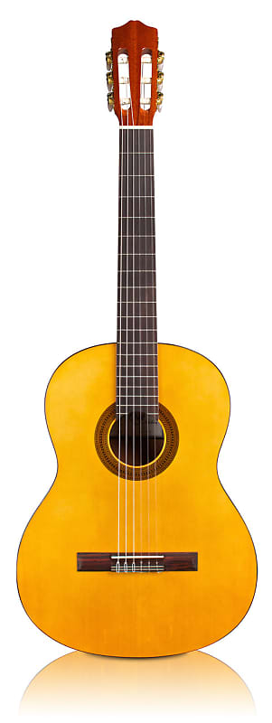 Акустическая гитара Cordoba Protege C1 - Full Size Classical Guitar - 650mm Scale Length - Spruce