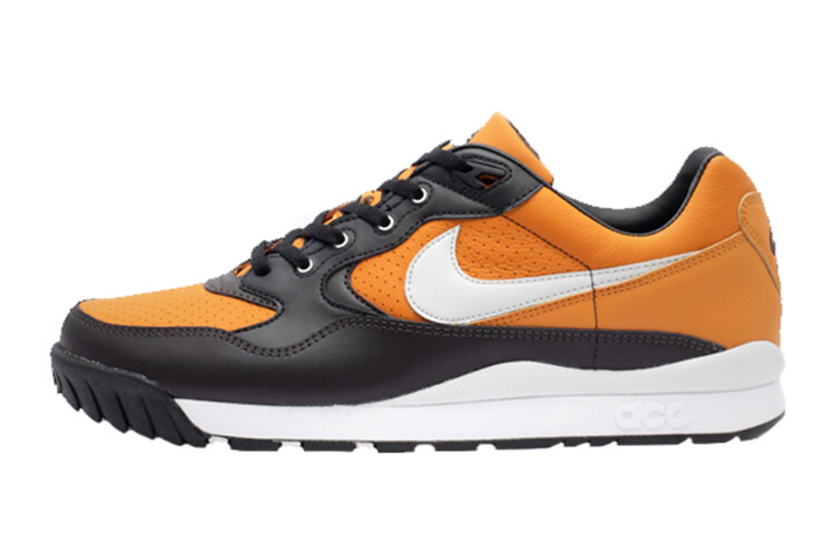 

Кроссовки Nike Air Wildwood ACG General