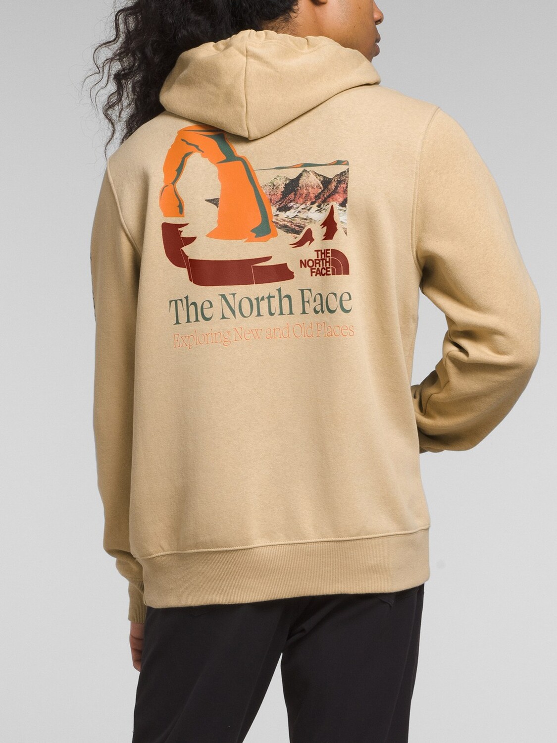 

Толстовка Places We Love – мужская The North Face, хаки