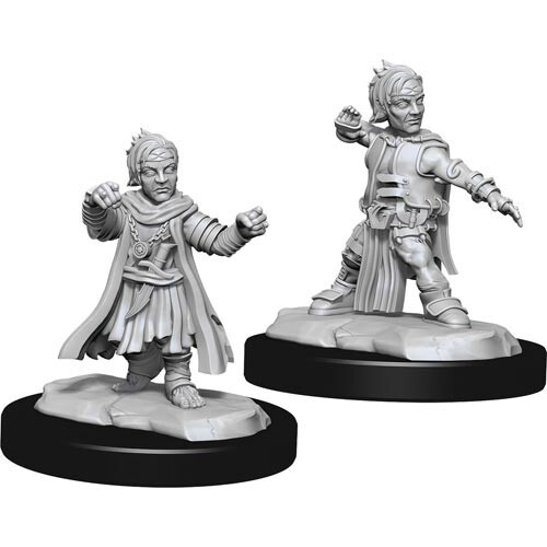 

Миниатюра WizKids/NECA Pathfinder Battles Deep Cuts Unpainted Minis: W15 Male Halfling Monk