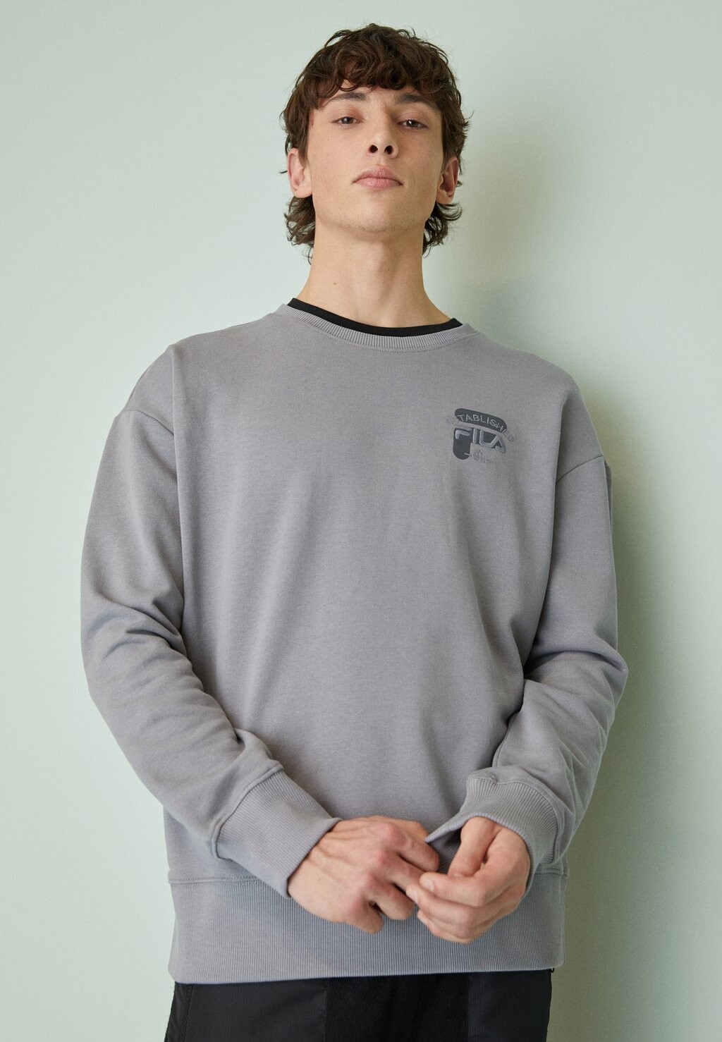 

Толстовка Fila, Серый