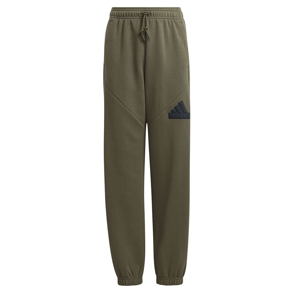 

Брюки adidas Sportswear Future Icons Logo, зеленый