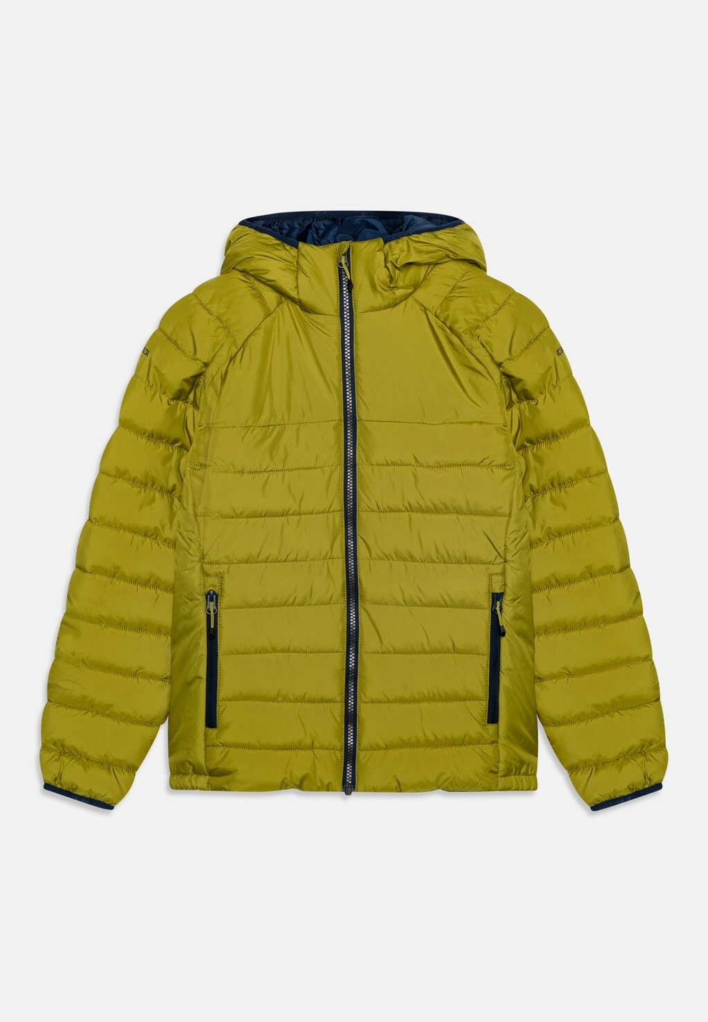

Куртка для отдыха на природе Kamiah Jr Unisex Icepeak, цвет asparagus