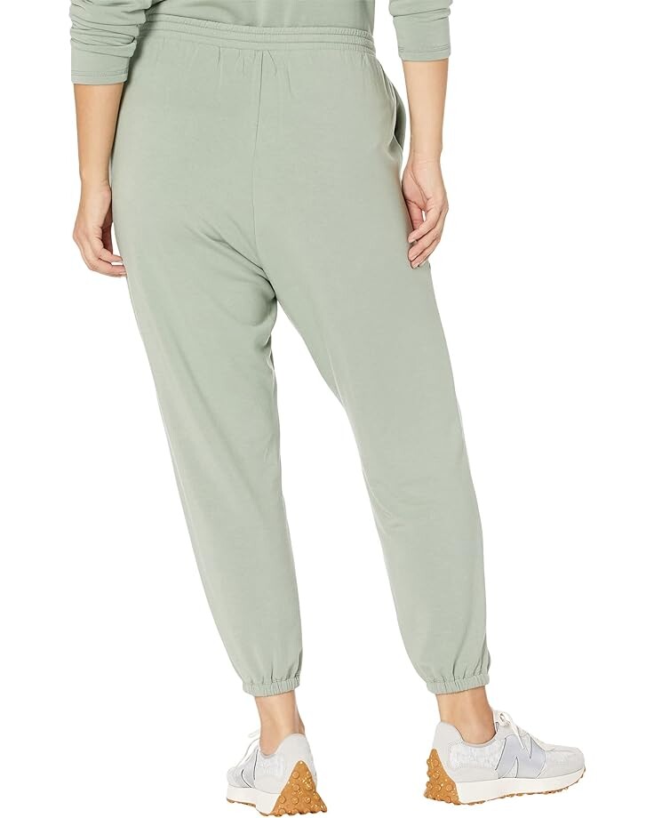 

Брюки Madewell Plus MWL Superbrushed Easygoing Sweatpants, цвет Frosted Willow