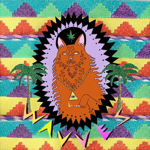 

Виниловая пластинка Wavves: King of the Beach