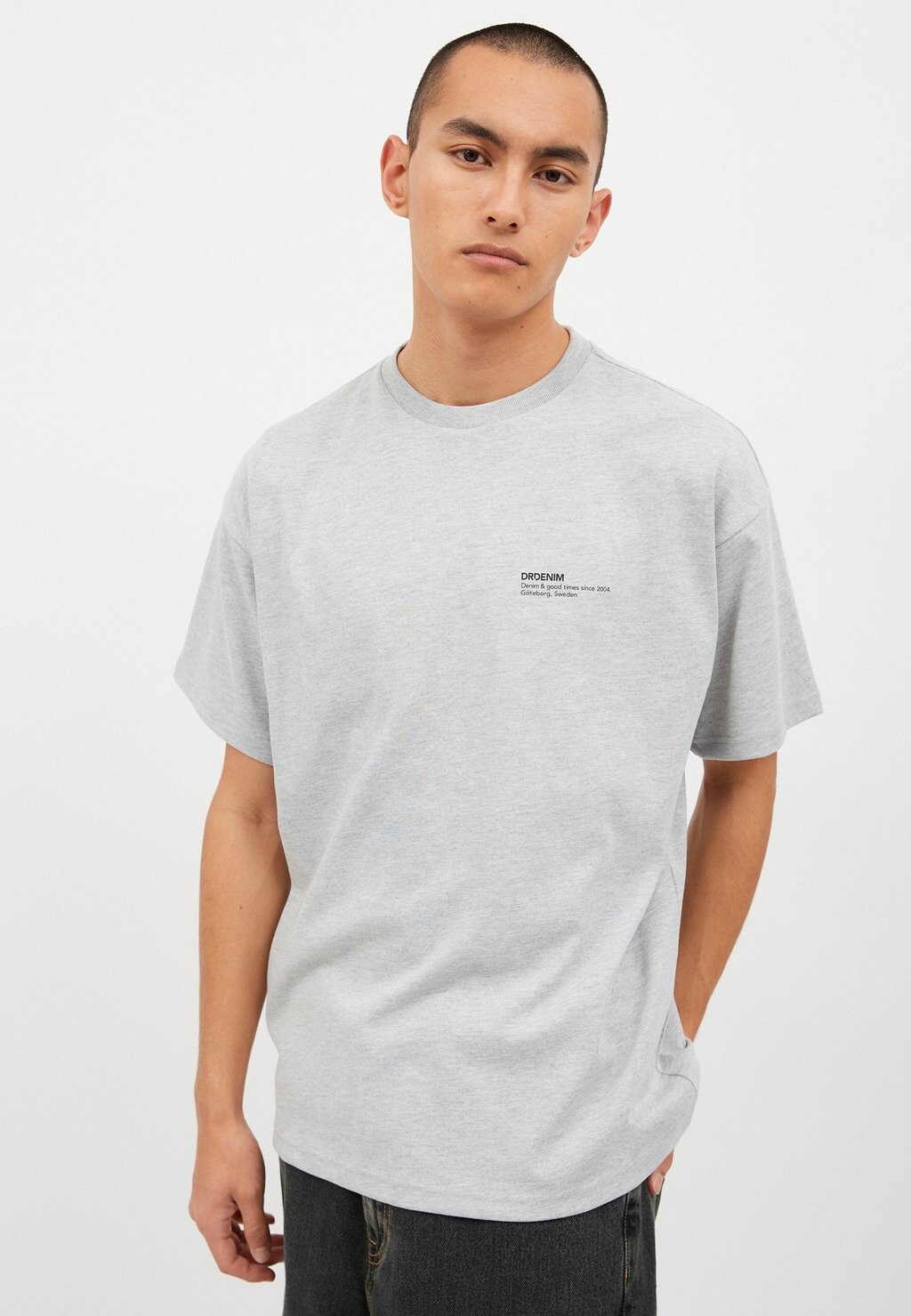 

Футболка с принтом TROOPER Dr.Denim, цвет grey melange wm