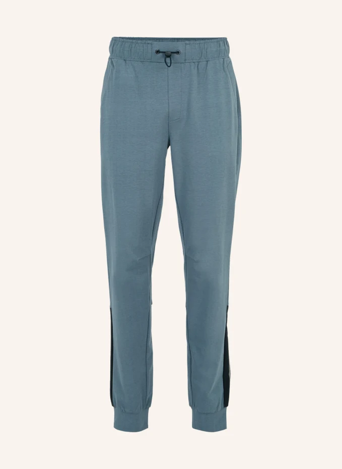 

Брюки джошуа Joy Sportswear, серый