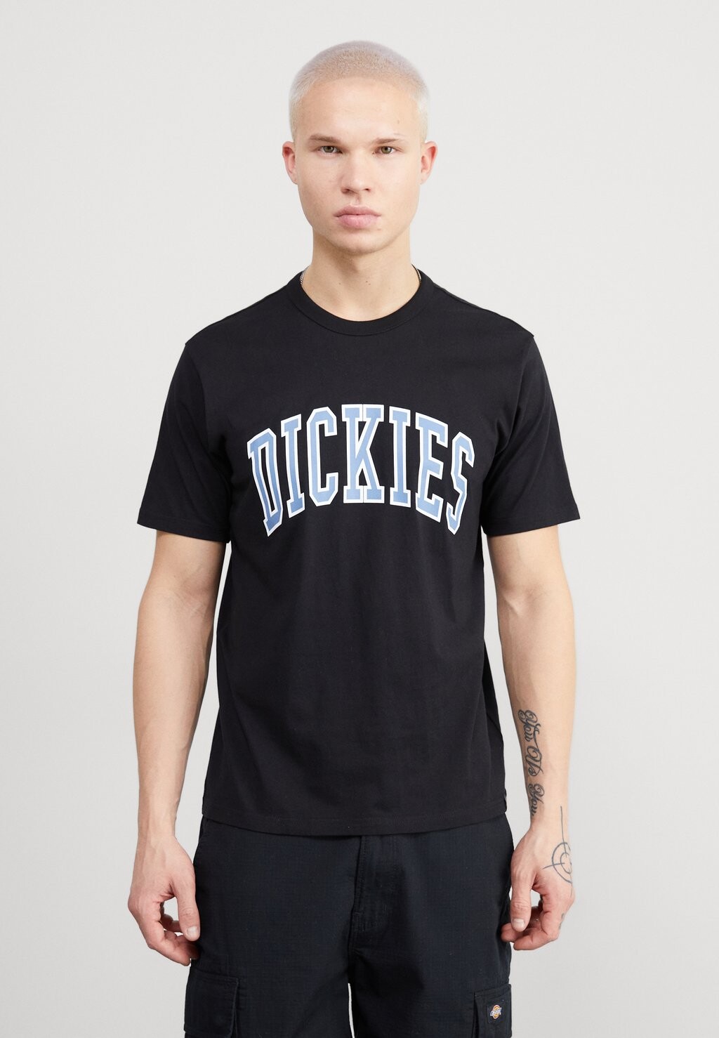 

Футболка с принтом AITKIN TEE Dickies, цвет black/coronet blue