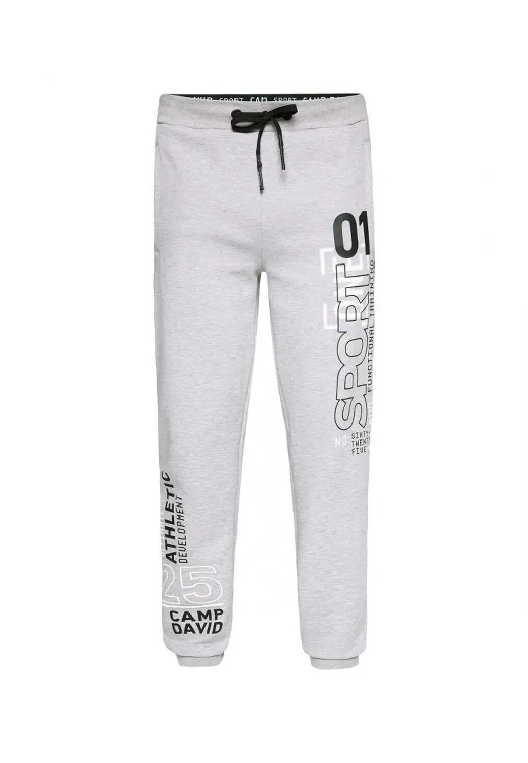 

Спортивные брюки CAMP DAVID Regular, серый