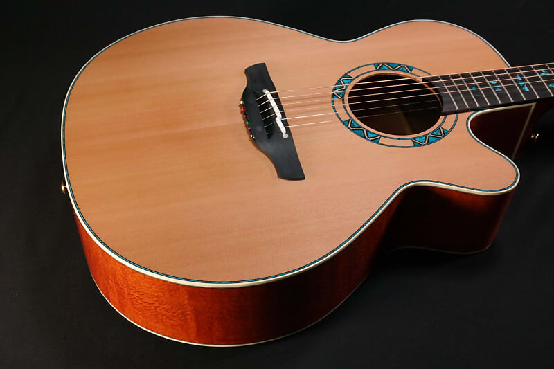

Акустическая гитара Takamine LTD 2023 Santa Fe 30th Anniversary 6-String Acoustic Electric Guitar w/ Case 517