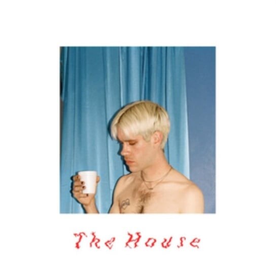 

Виниловая пластинка Porches - The House