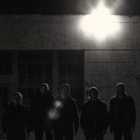 

Виниловая пластинка Western Addiction - Frail Baby