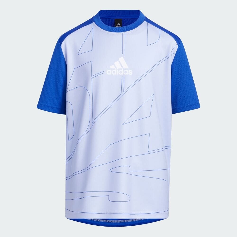 

Футболка Adidas IA9319, синий