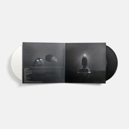 

Виниловая пластинка Son Lux - Everything Everywhere All at Once