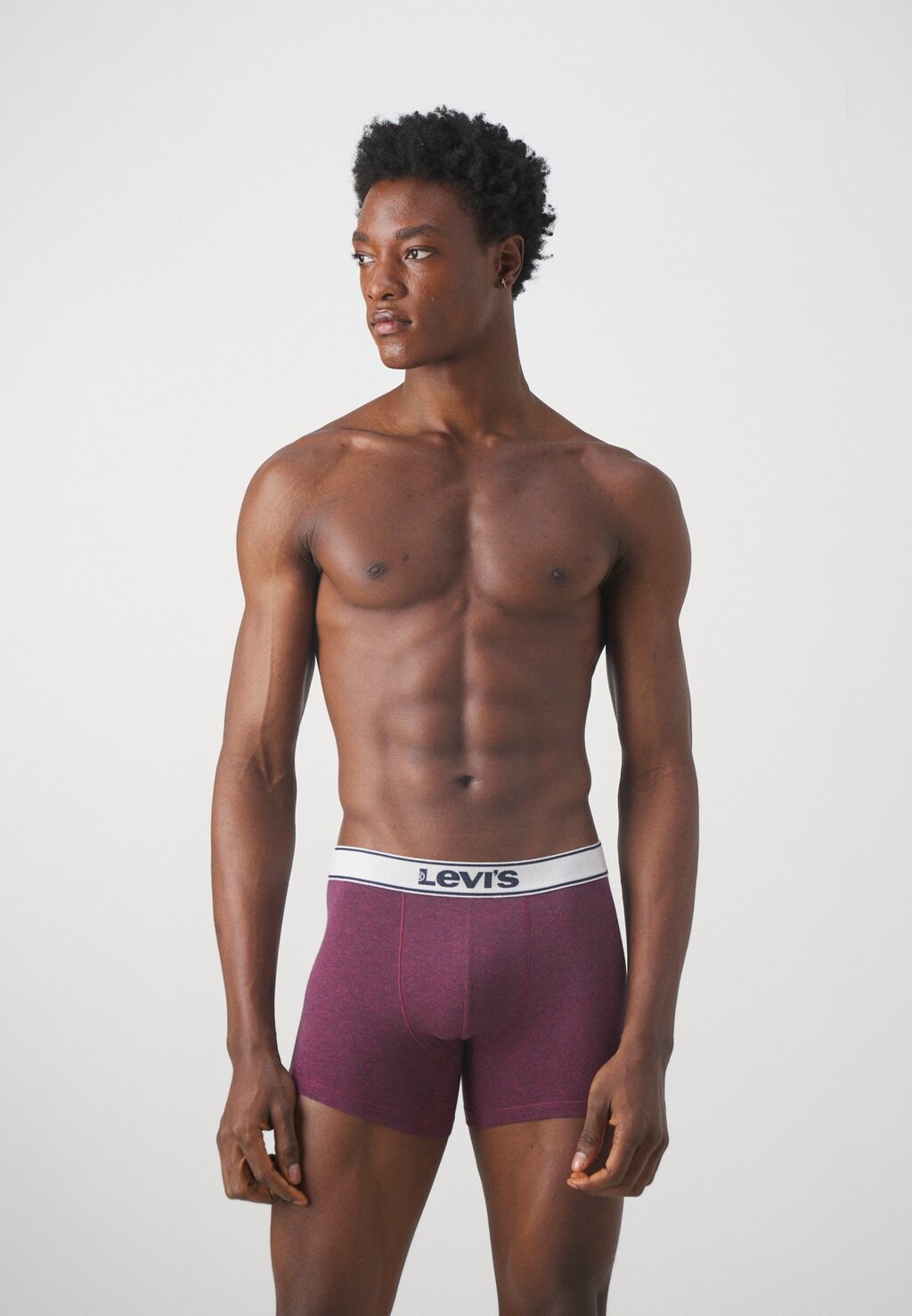 

Трусы MEN VINTAGE HEATHER BOXER BRIEF ORGANIC 2PACK Levi's, красный