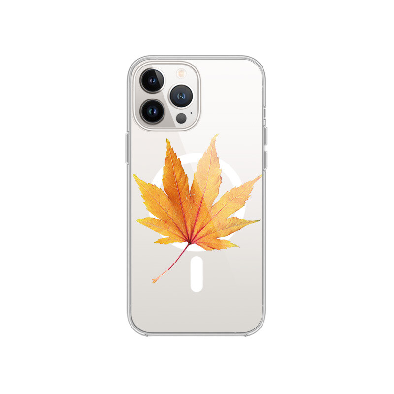 

Чехол для телефона MSMF Us 10 Cents Msmf, DWFQCX472 - Transparent