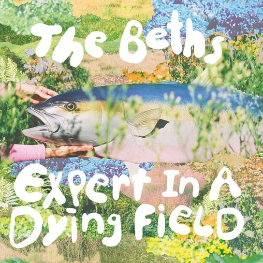 

Виниловая пластинка The Beths - Expert In A Dying Field
