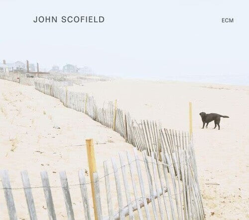 

Виниловая пластинка Scofield, John: John Scofield