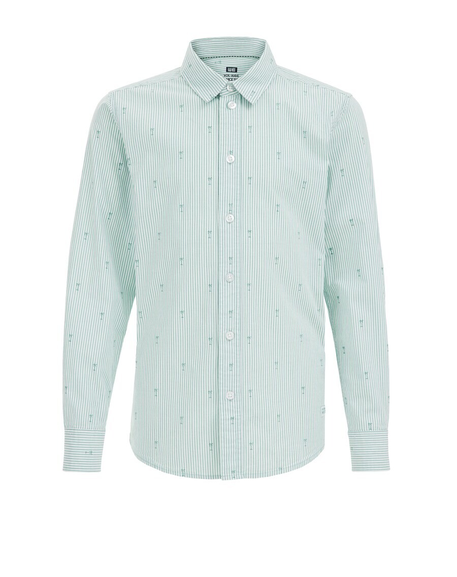 

Рубашка на пуговицах стандартного кроя We Fashion, цвет Mint/Pastel Green