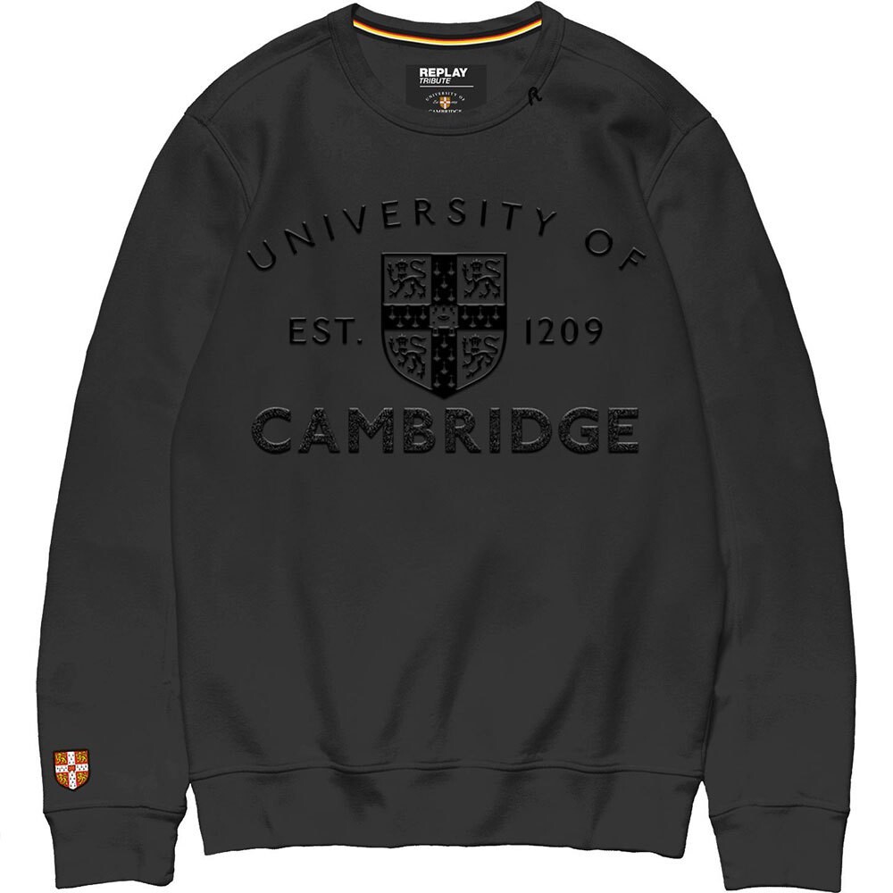 

Толстовка Replay Dyed Brushed Cotton, серый