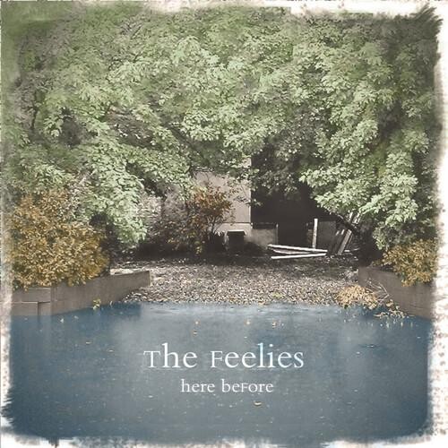 

Виниловая пластинка Feelies - Here Before