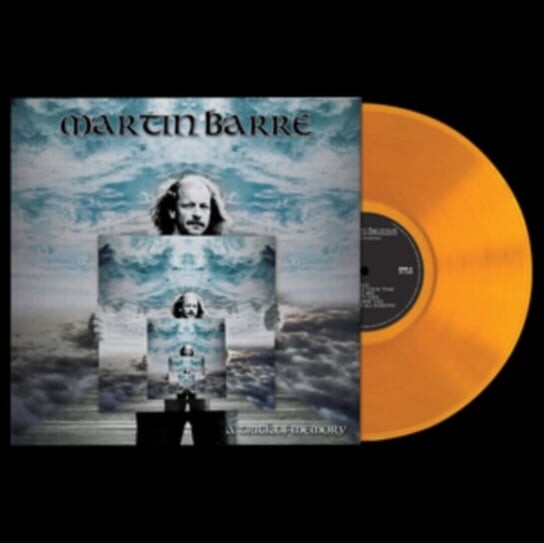 

Виниловая пластинка Barre Martin - A Trick of Memory