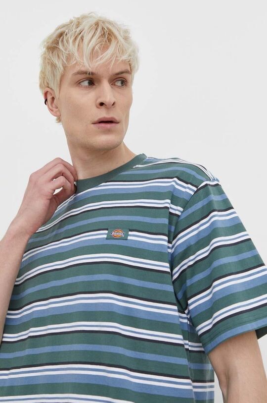 

Хлопковая футболка GLADE SPRING TEE SS Dickies, зеленый
