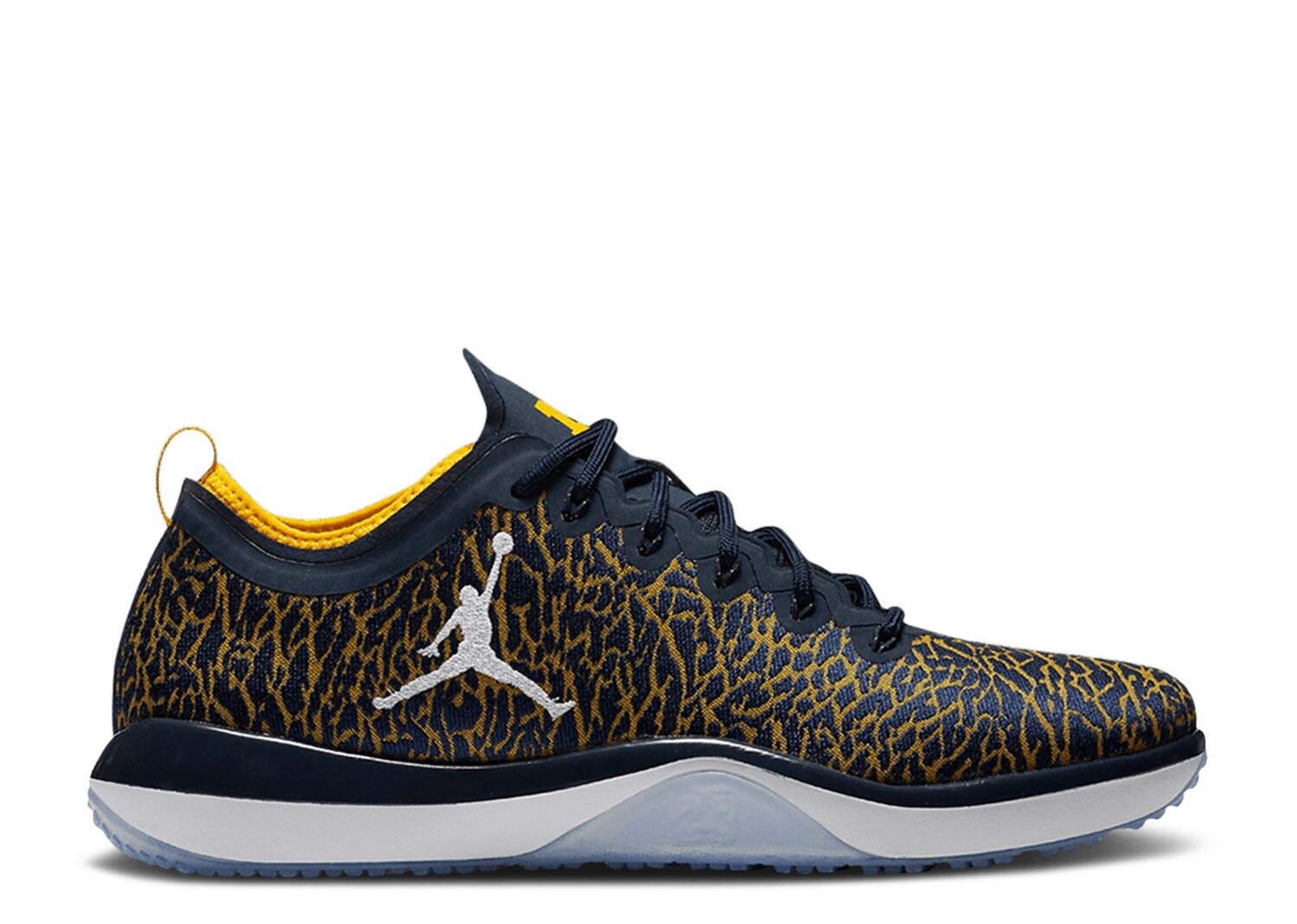 

Кроссовки Air Jordan Jordan Trainer 1 Low 'Michigan', синий