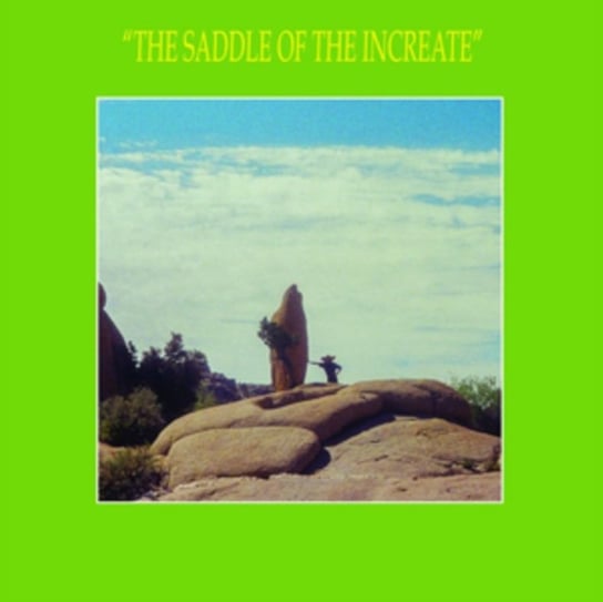 Виниловая пластинка Sun Araw - The Saddle Of The Increate