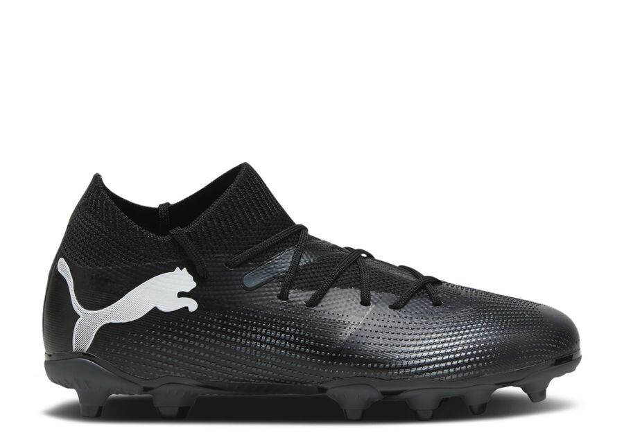 

Кроссовки Puma Future Match 7 Fg Ag Big Kid 'Eclipse Pack', черный