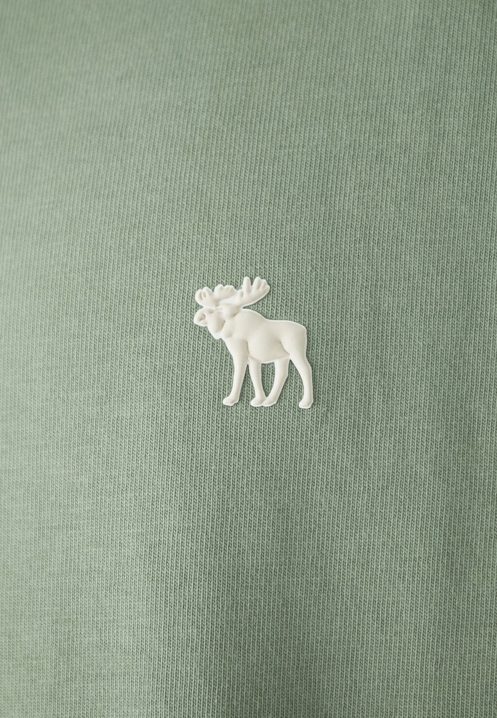 

Базовая футболка ICON CREW Abercrombie & Fitch, зеленый