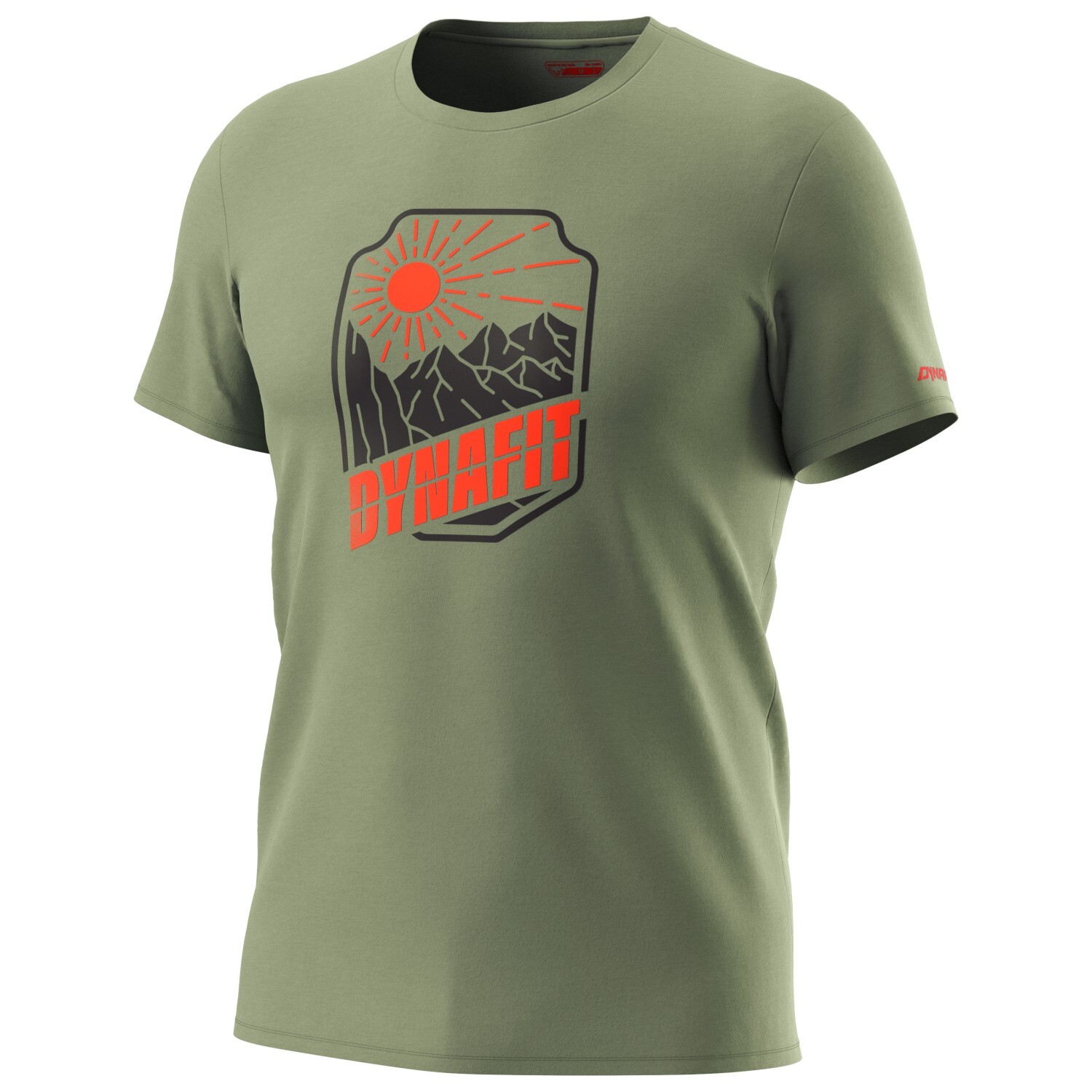 

Футболка Dynafit Graphic Cotton S/S Tee, цвет Sage/Badge