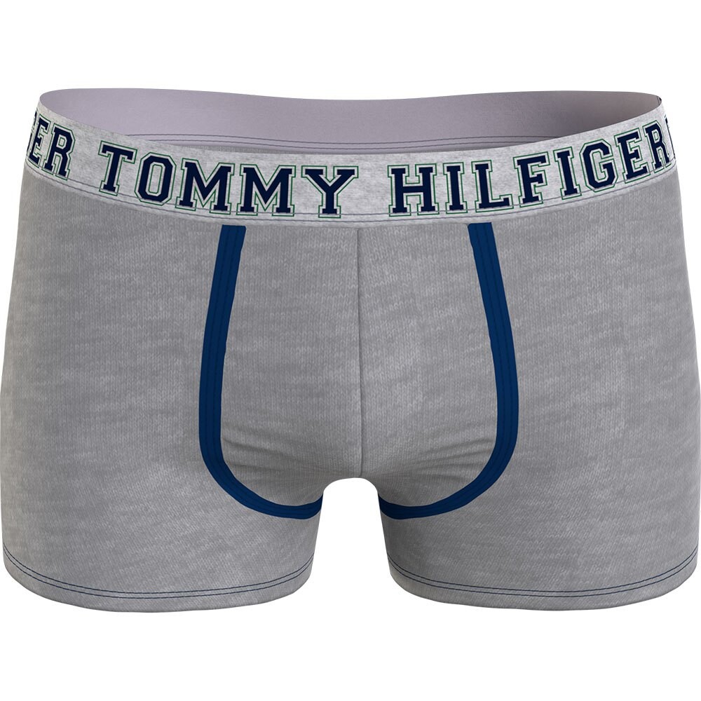 

Боксеры Tommy Hilfiger Repeat Logo Waistband, серый