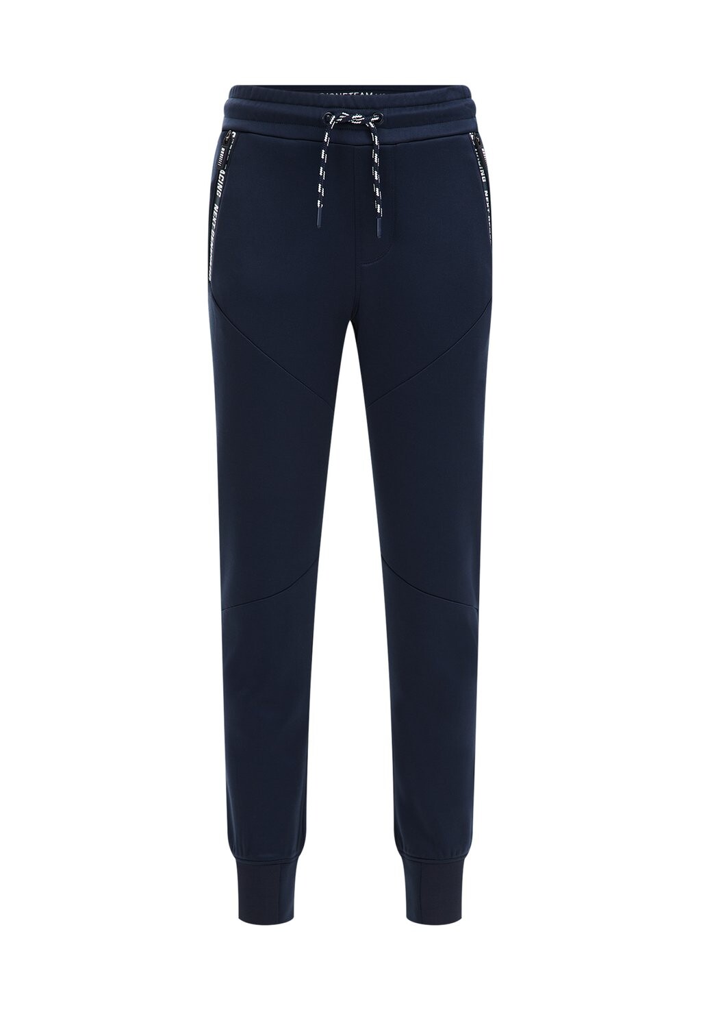 

Брюки спортивные WE Fashion, цвет blue