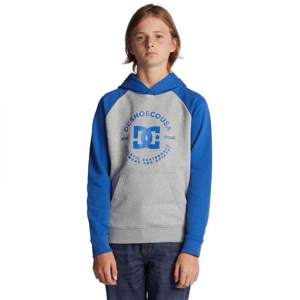 

Худи Dc Shoes Strpltrglnphb, серый