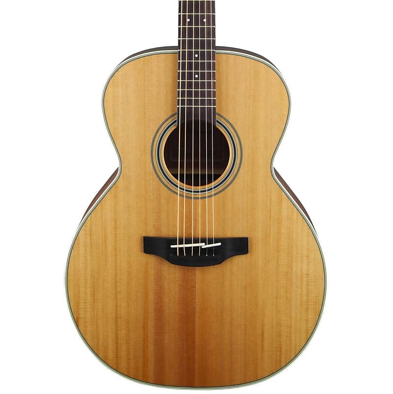 Акустическая гитара Takamine GN20-NS Acoustic Guitar(New) акустическая гитара parkwood s22m ns с чехлом матовая