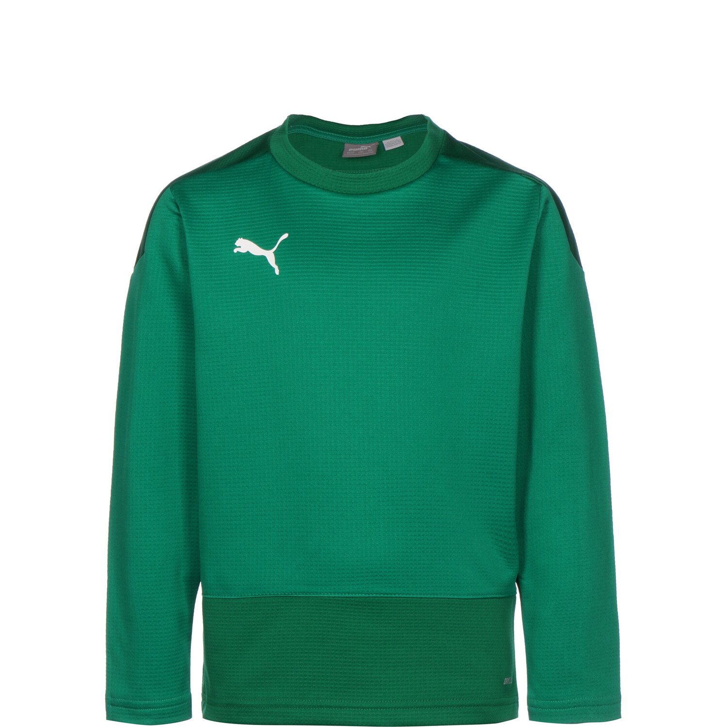 

Толстовка Puma TeamGOAL 23, цвет grün/dunkelgrün