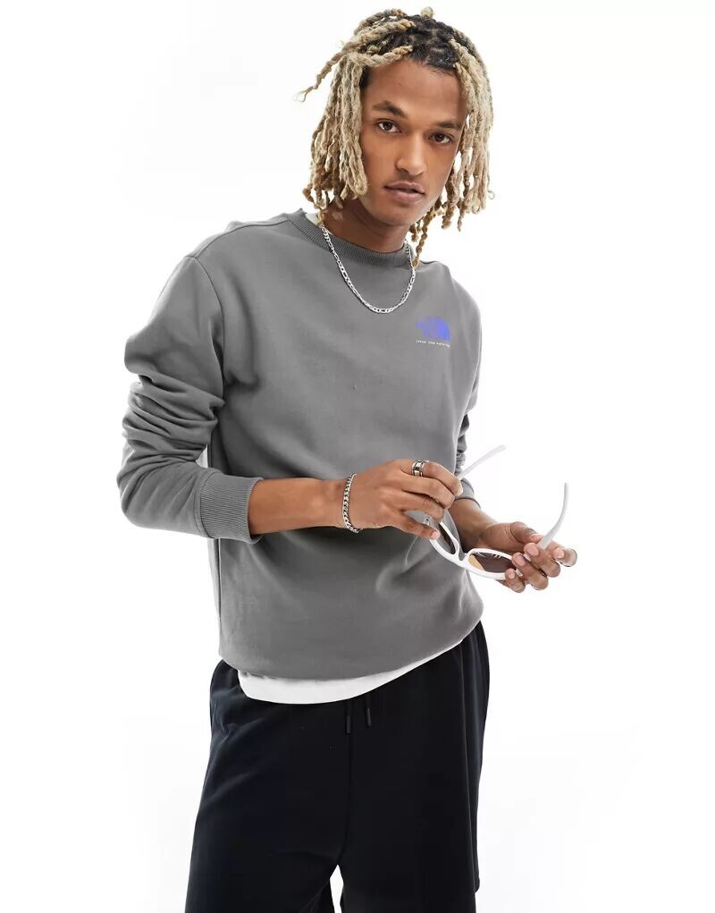 

Серая толстовка The North Face с логотипом на спине