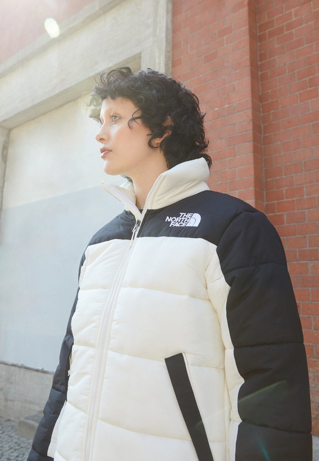 

Зимняя куртка The North Face, Серый