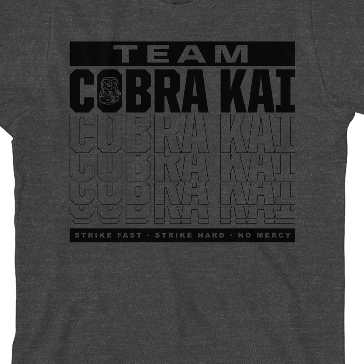 Футболка с рисунком Cobra Kai Team для мальчиков 8–20 лет Cobra Kai Licensed Character cobra kai 2 dojos rising английская версия ps5
