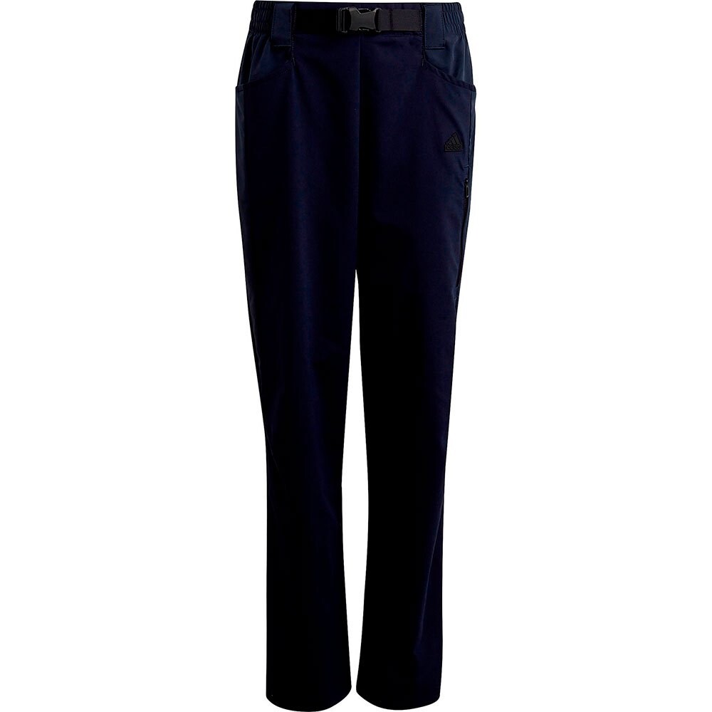 

Брюки adidas Sportswear Ce Dw, синий