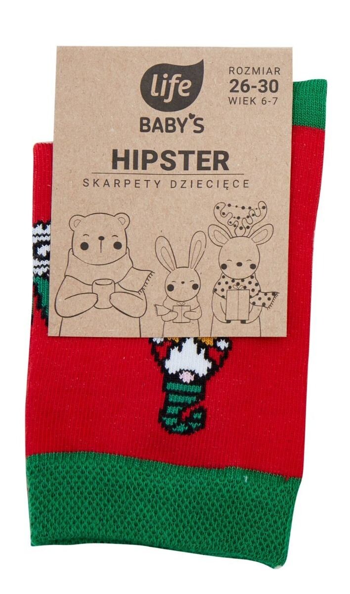 

Носки Life Hipster Skrzaty, 19-22